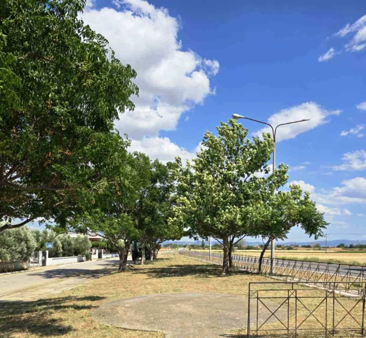Δήμος Κομοτηνής: Εντατικές παρεμβάσεις σε Κομοτηνή και  οικισμούς από το Τμήμα Πρασίνου 
