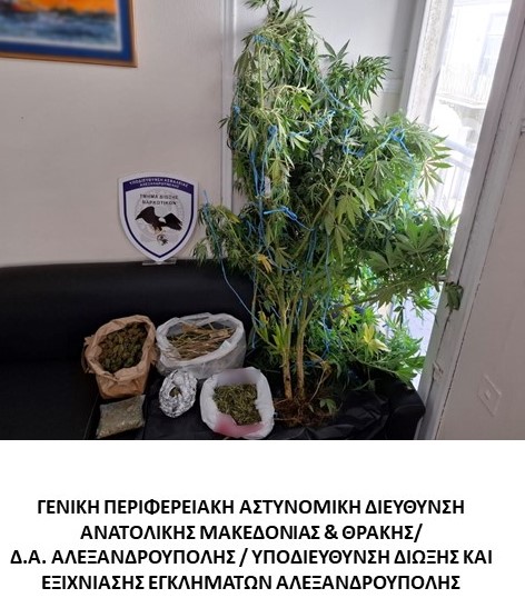 Στο πλαίσιο ειδικών δράσεων για την καταπολέμηση της διάδοσης των ναρκωτικών συνελήφθησαν δεκατέσσερα -14- άτομα σε περιοχές της ΑΜΘ Στο πλαίσιο ειδικών δράσεων για την καταπολέμηση της διάδοσης των ναρκωτικών συνελήφθησαν δεκατέσσερα -14- άτομα σε περιοχές της ΑΜΘ