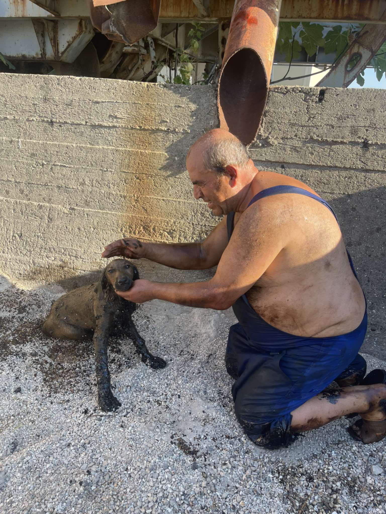 Κολλημένο στην πίσσα της κολάσεως…