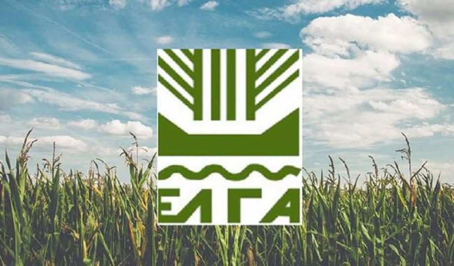 Ανακοίνωση του ΕΛΓΑ προς τους παραγωγούς του Δήμου Μαρώνειας-Σαπών, για τις ζημιές από τον πρόσφατο καύσωνα Ανακοίνωση του ΕΛΓΑ προς τους παραγωγούς του Δήμου Μαρώνειας-Σαπών, για τις ζημιές από τον πρόσφατο καύσωνα