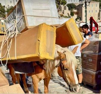 Γαϊδουράκια και άλογα. Σύγχρονοι Είλωτες και Σκλάβοι.. Πάρτε τώρα την Εγκύκλιο πίσω!
