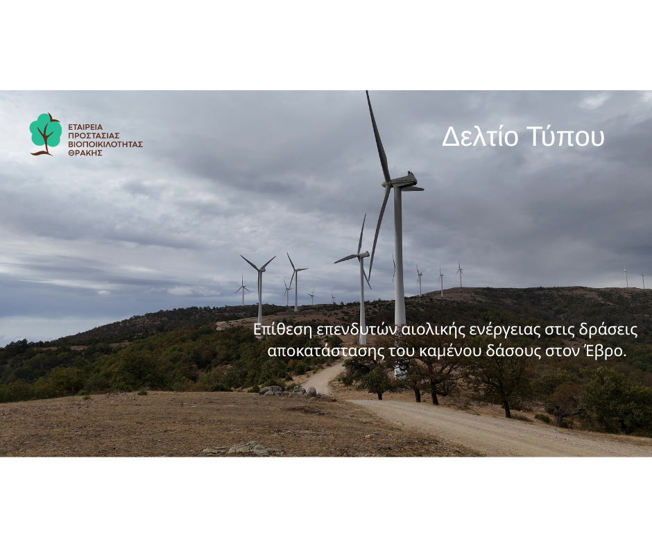 “Καμία ντροπή πια! Θέλουν να βάλουν ανεμογεννήτριες ακόμη και πάνω σε αναδάσωση στο καμένο δάσος !” “Καμία ντροπή πια! Θέλουν να βάλουν ανεμογεννήτριες ακόμη και πάνω σε αναδάσωση στο καμένο δάσος !”