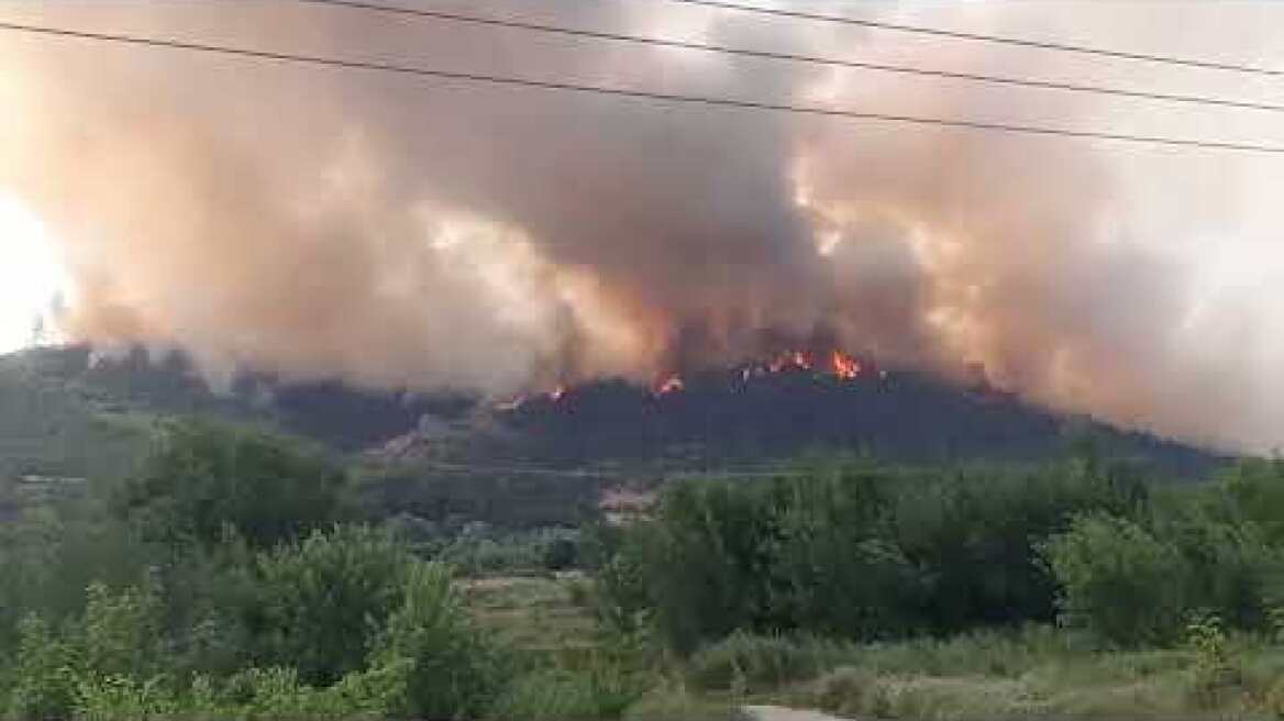 Δαδιά Έβρου: Δύο χρόνια μετά την καταστροφική πυρκαγιά Δαδιά Έβρου: Δύο χρόνια μετά την καταστροφική πυρκαγιά