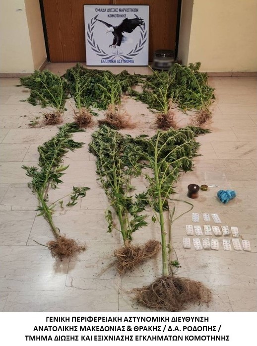 Συνελήφθη ημεδαπός σε οικισμό της Ροδόπης κατηγορούμενος για καλλιέργεια και κατοχή ναρκωτικών Συνελήφθη ημεδαπός σε οικισμό της Ροδόπης κατηγορούμενος για καλλιέργεια και κατοχή ναρκωτικών