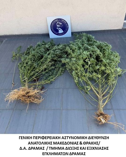 Στο πλαίσιο ειδικών δράσεων για την καταπολέμηση της διάδοσης των ναρκωτικών συνελήφθησαν δώδεκα -12- άτομα σε περιοχές της ΑΜΘ