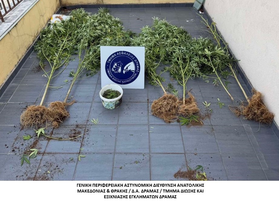 Στο πλαίσιο ειδικών δράσεων για την καταπολέμηση της διάδοσης των ναρκωτικών συνελήφθησαν έντεκα -11- άτομα σε περιοχές της ΑΜΘ Στο πλαίσιο ειδικών δράσεων για την καταπολέμηση της διάδοσης των ναρκωτικών συνελήφθησαν έντεκα -11- άτομα σε περιοχές της ΑΜΘ
