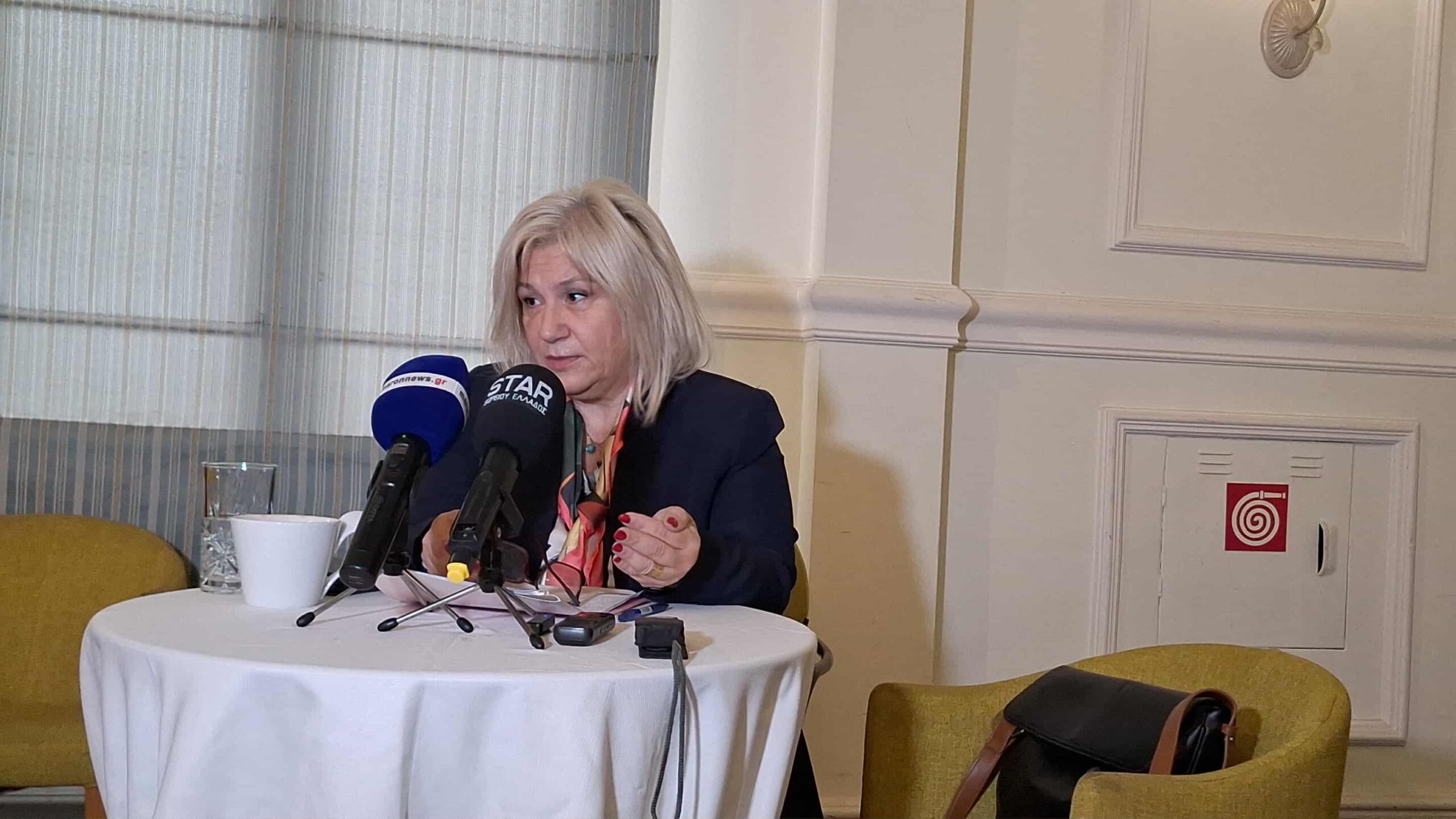 Βούλα Ελευθεριάδου : «Η ΔΕΕΠ μπορεί να λειτουργήσει ως φορέας ιδεών προτάσεων και ανάπτυξης πολιτικών στελεχών»