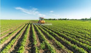 Η Ένωση Εργαζομένων Καταναλωτών Ελλάδας στηρίζει τον αγώνα των αγροτών