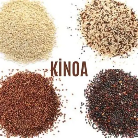 Η συνεισφορά της κινόα σε μια πιο ισορροπημένη δίαιτα, με πολλαπλά οφέλη στην υγεία ! Η συνεισφορά της κινόα σε μια πιο ισορροπημένη δίαιτα, με πολλαπλά οφέλη στην υγεία !
