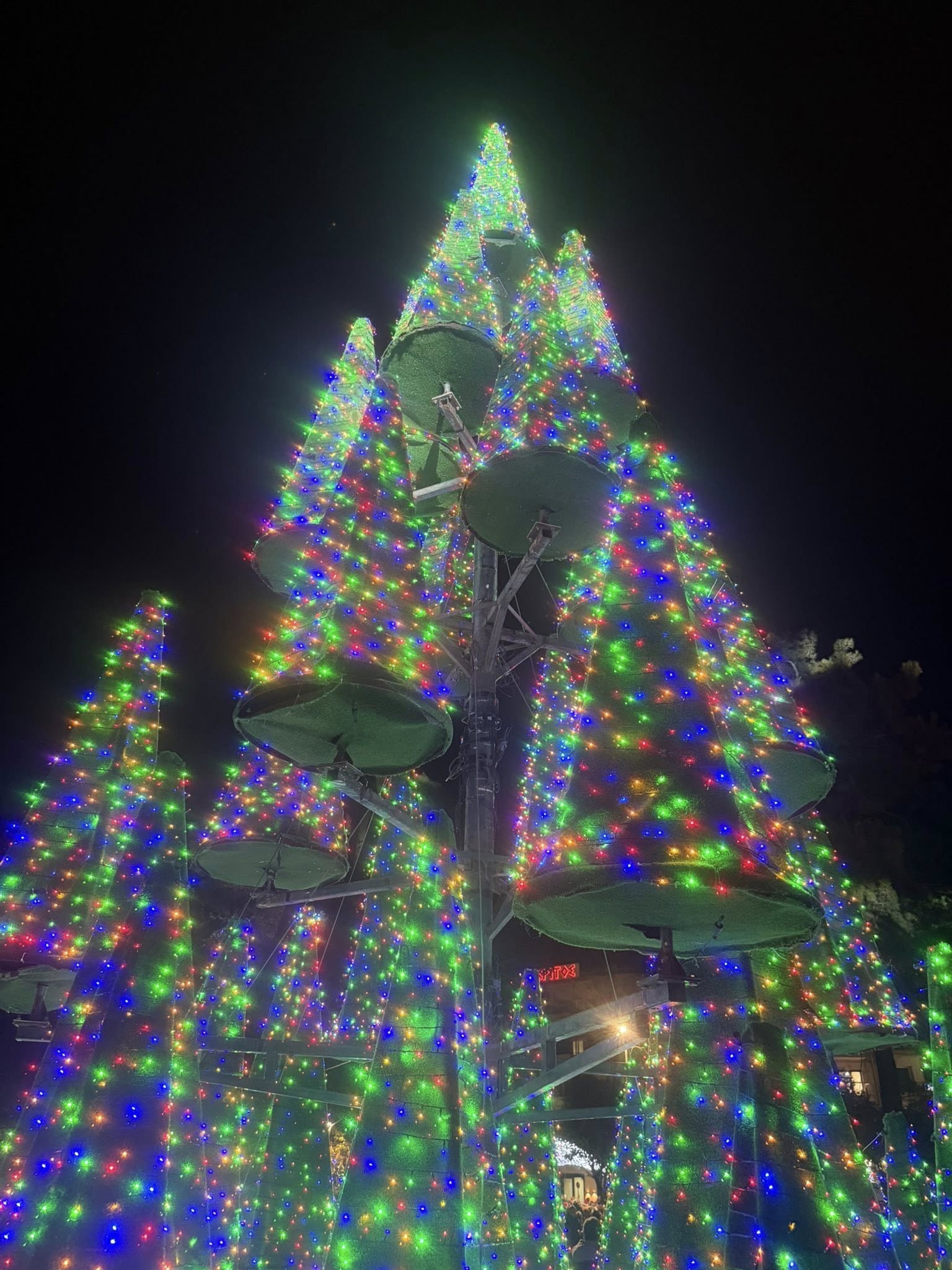 Κομοτηνή: Μεγάλη η συμμετοχή του κόσμου στο Santa Run 2025 και στη φωταγώγηση του Χριστουγεννιάτικου Δένδρου (φωτος)