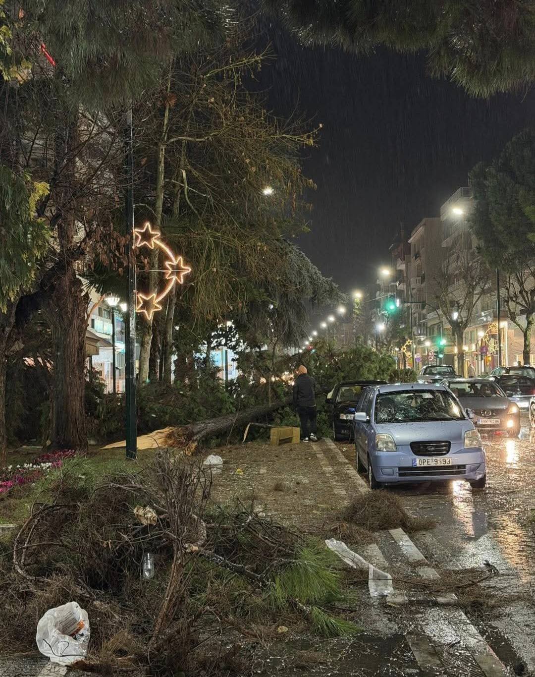 Σάρωσε η καταιγίδα την Αλεξανδρούπολη: Μεγάλες καταστροφές από πτώσεις δέντρων (βίντεο)