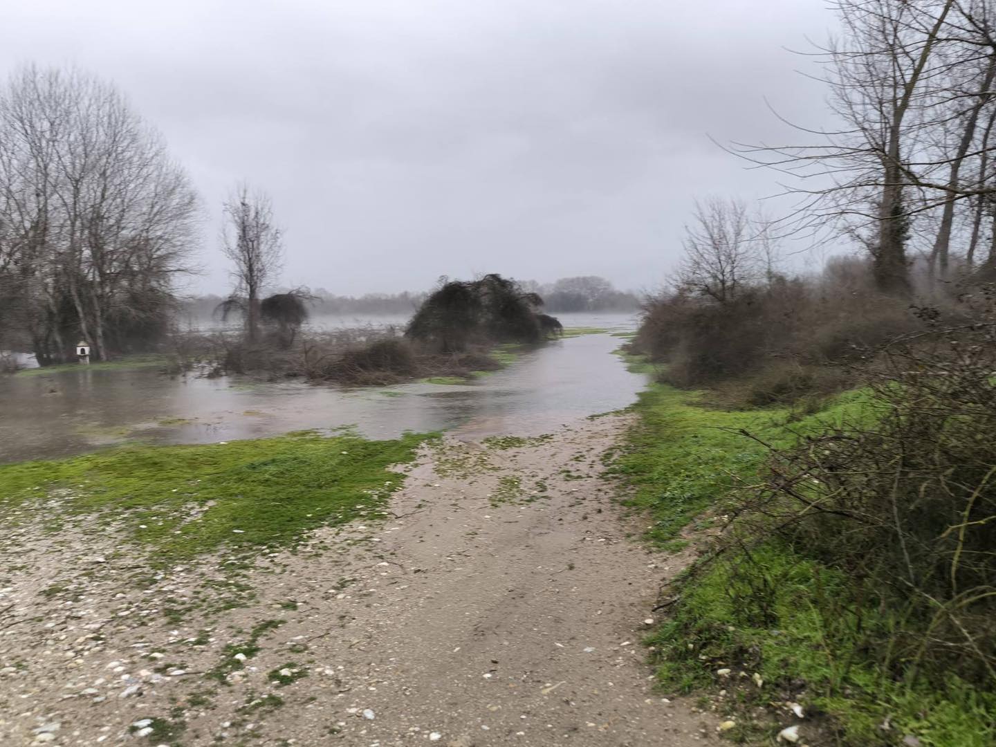 Σύσκεψη του Περιφερειάρχη ΑΜΘ με το Δήμαρχο Νέστου για τη θραύση του δυτικού αναχώματος του ποταμού Νέστου στην περιοχή Σύσκεψη του Περιφερειάρχη ΑΜΘ με το Δήμαρχο Νέστου για τη θραύση του δυτικού αναχώματος του ποταμού Νέστου στην περιοχή
