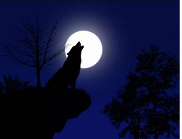 Πρώτη πανσέληνος  του 2026: Το «Φεγγάρι του Λύκου»-Από πού προέρχεται και τι συμβολίζει