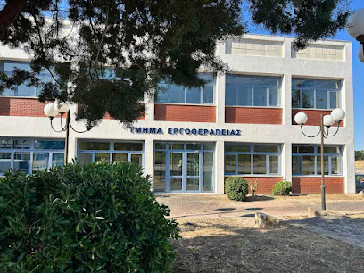 Η Κομοτηνή στο επίκεντρο της Εργοθεραπείας – Ένα διεθνές συνέδριο με κοινωνικό αποτύπωμα