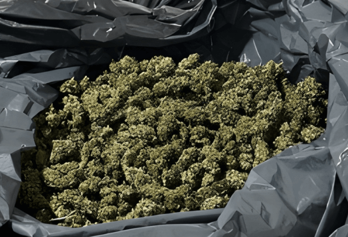 Κατάσχεση «μαμούθ» 30 τόνων κάνναβης στη Βόρεια Μακεδονία