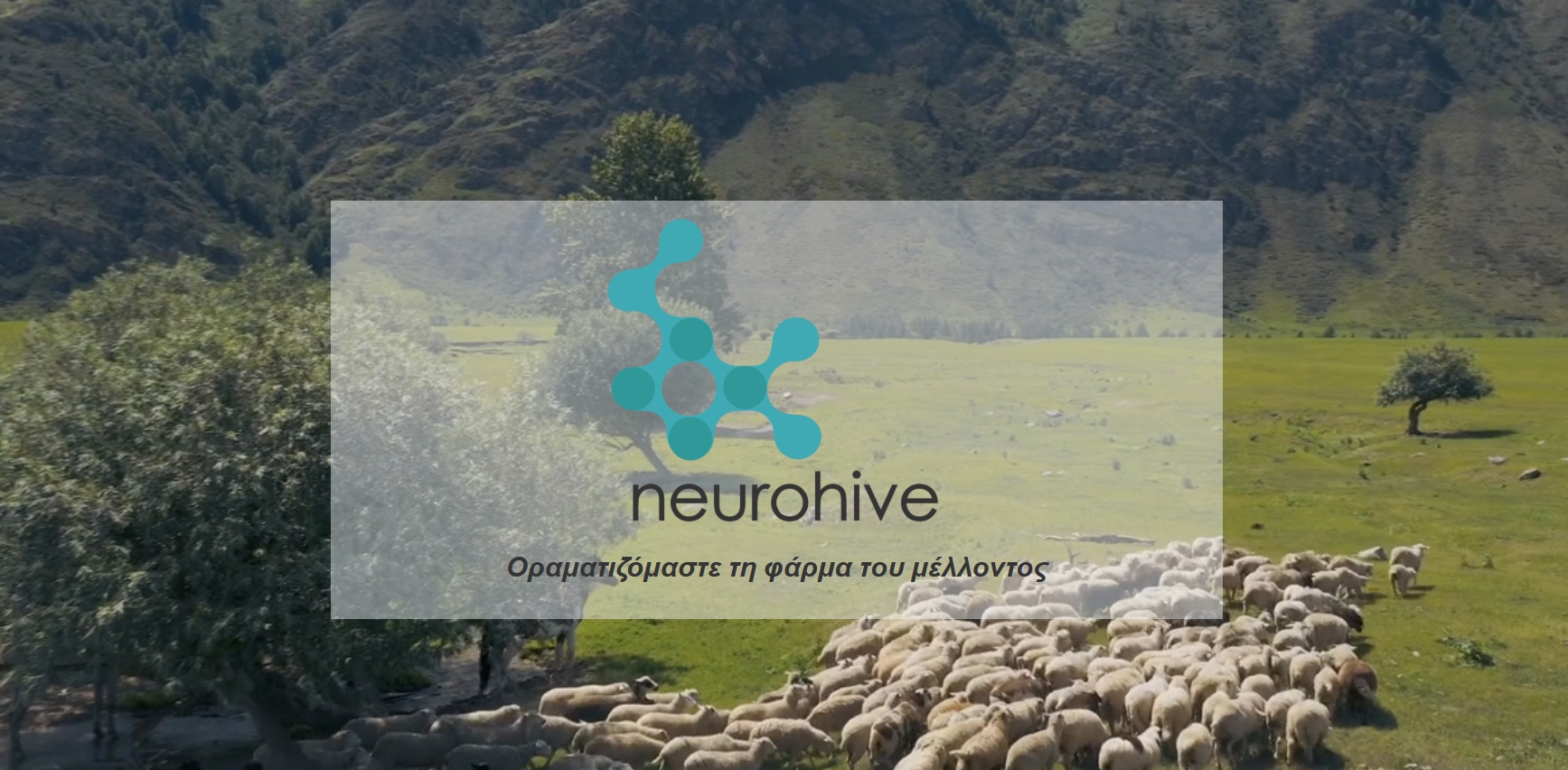 Η Neurohive επεκτείνει το αποτύπωμά της στην ψηφιακή κτηνοτροφία – Συνεργασία με πάνω από 60 φάρμες αιγοπροβάτων Η Neurohive επεκτείνει το αποτύπωμά της στην ψηφιακή κτηνοτροφία – Συνεργασία με πάνω από 60 φάρμες αιγοπροβάτων