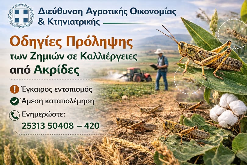 Διεύθυνση Αγροτικής Οικονομίας & Κτηνιατρικής Π.Ε. Ροδόπης: Οδηγίες πρόληψης των ζημιών σε καλλιέργειες από ακρίδες