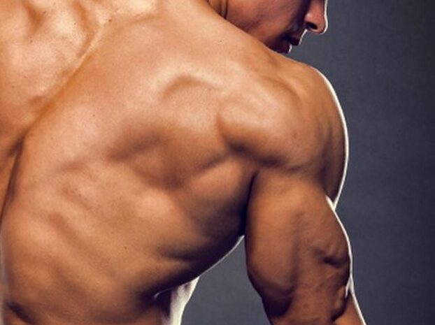 Ποιος είναι ο  ξεχασμένος μυς που διαδραματίζει βασικό ρόλο στον έλεγχο του σακχάρου