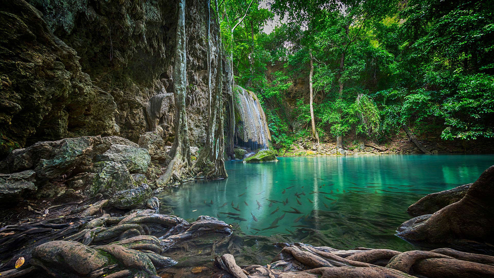 Πανελλήνιος Σύλλογος Ιαματικών Πηγών και Λουτροπόλεων Ελλάδας: Παγκόσμια Ημέρα Νερού Πανελλήνιος Σύλλογος Ιαματικών Πηγών και Λουτροπόλεων Ελλάδας: Παγκόσμια Ημέρα Νερού