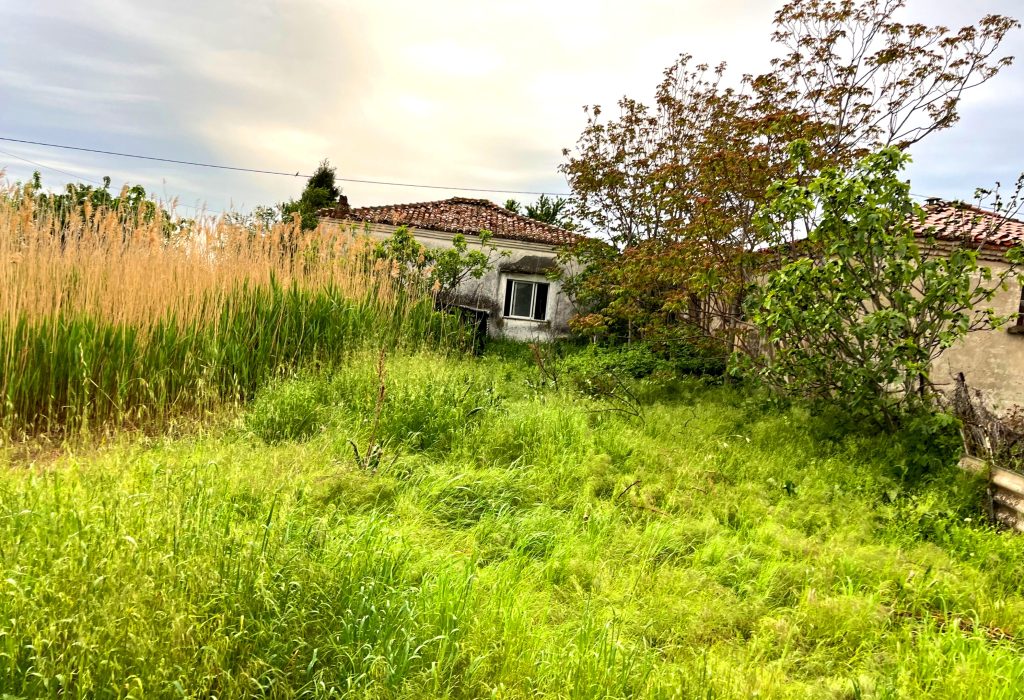 Ενημέρωση από το Δήμο Κομοτηνής για τον καθαρισμό οικοπέδων από τους ιδιοκτήτες τους