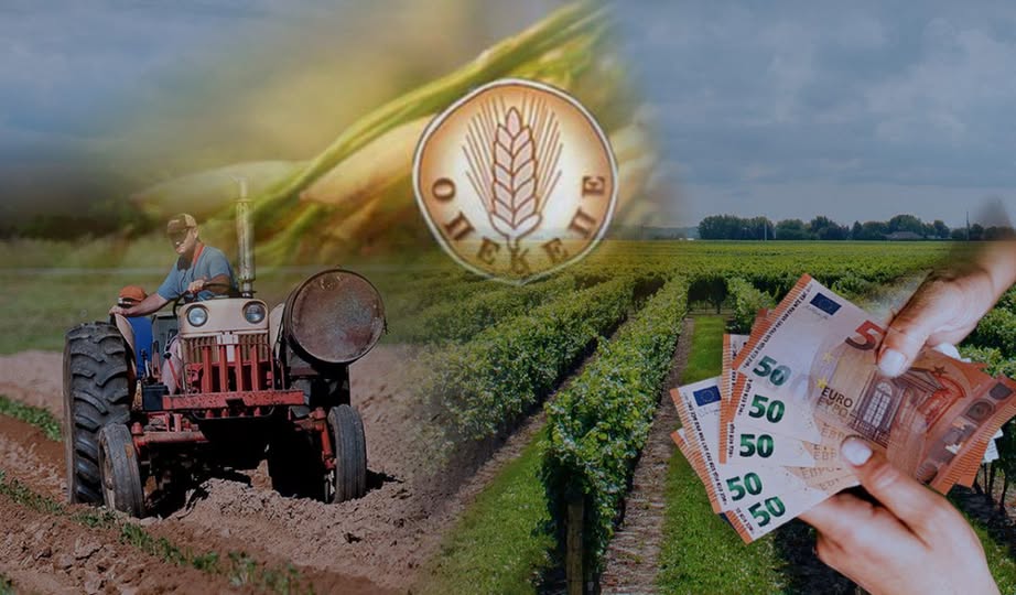 Σιμπέλ Μουσταφάογλου, Μέλος ΝΕ ΠΑΣΟΚ Ροδόπης : «ΤΕΛΟΣ ΣΤΗ ΔΙΑΦΘΟΡΑ , ΣΤΗΡΙΞΗ ΣΤΟΥΣ ΠΑΡΑΓΩΓΟΥΣ»