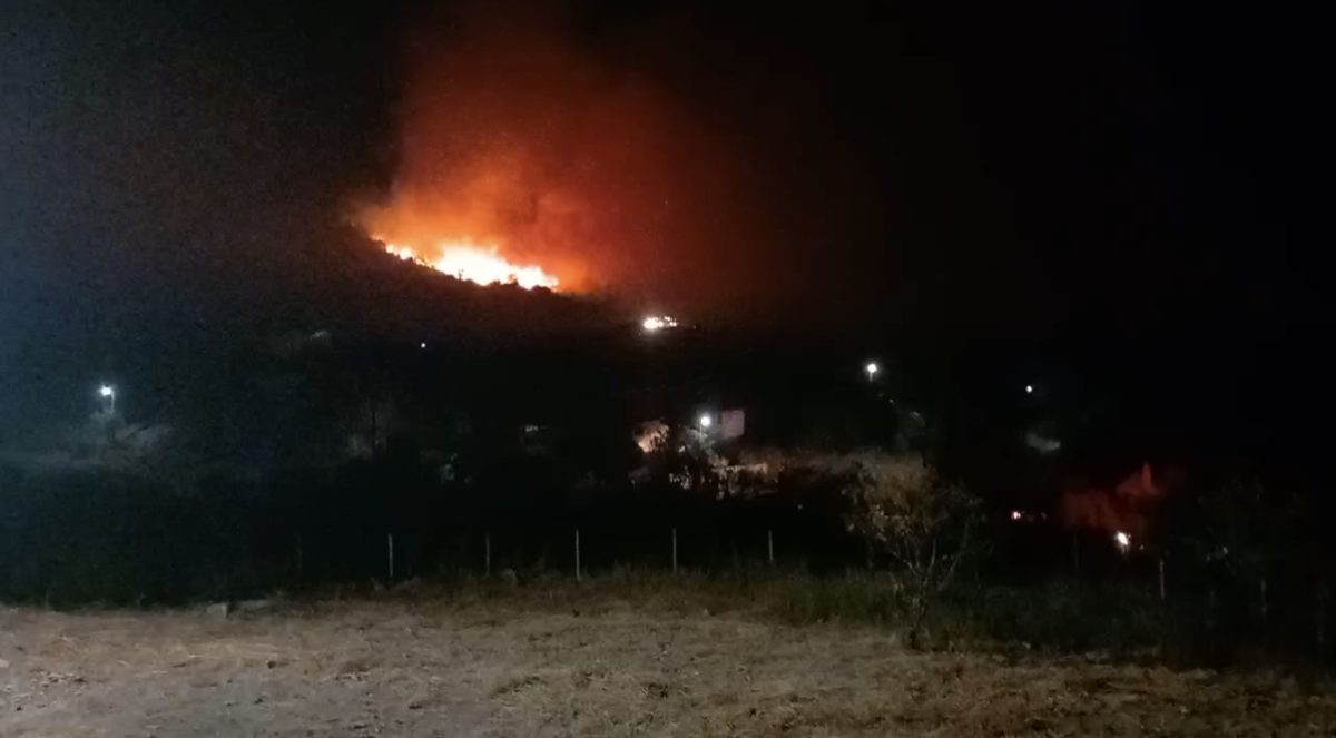 Έβρος: Σύλληψη 19χρονου Πακιστανού με  Καναδική υπηκοότητα για την πρόκληση της πυρκαγιάς στην Λευκίμη