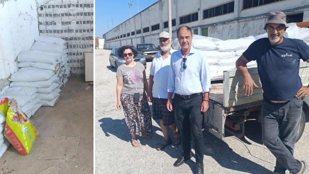 Στήριξη στους φιλόζωους με 7 τόνους τροφών για αδέσποτα από τον Δήμο Μαρωνείας-Σαπών